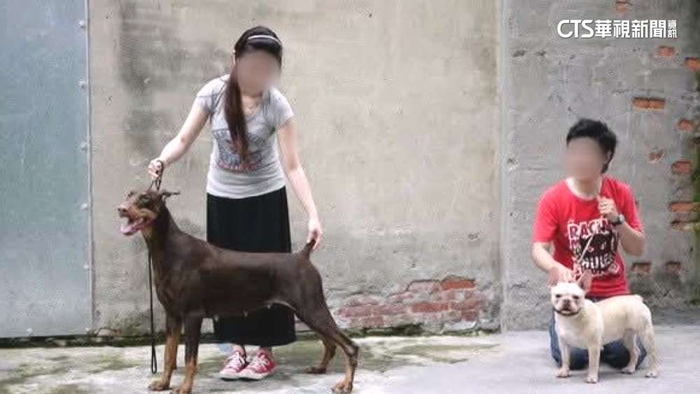電商夫妻打拚曾當馴犬師　年前天人隔親友惋惜