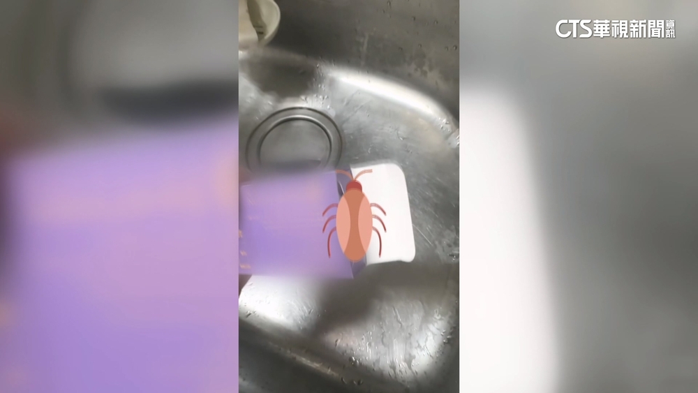 買隱形眼鏡盒拆封赫見「小強」　廠商：將查明原因