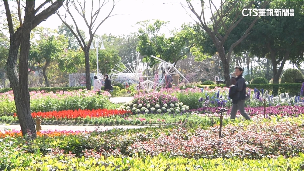 新春出遊賞花！　彰化溪州公園成「花香世界」美不勝收