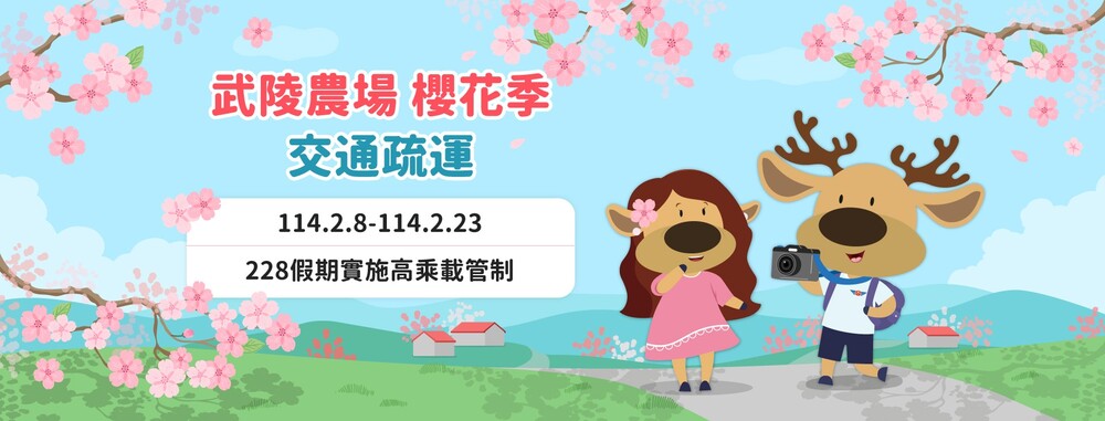 武陵農場櫻花季2/8粉墨登場　豐原監理站籲多加利用公共運輸接駁入場
