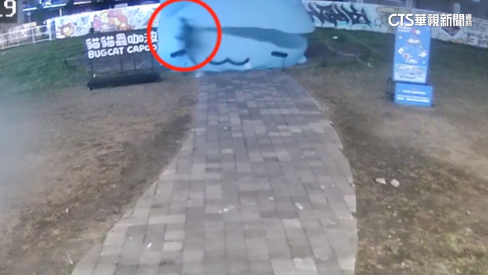 台中咖波巨型氣偶遭「暗殺」　男持利器割破消風