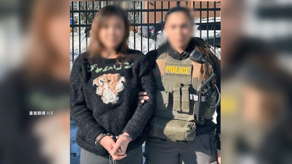 「太陽花女王」劉喬安在美國被捕　刑事局證實消息、估3月遣返回台