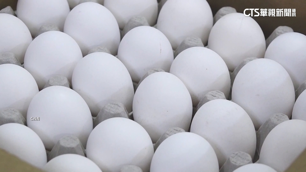 蛋價飆漲有利可圖！　美罕見發生10萬枚雞蛋被竊案