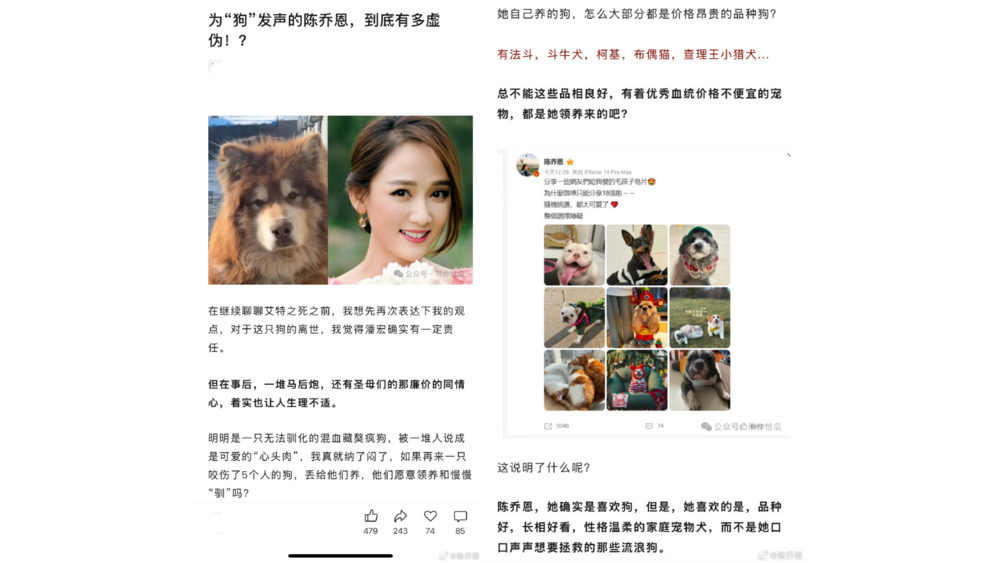 圖片翻攝自 陳喬恩 微博