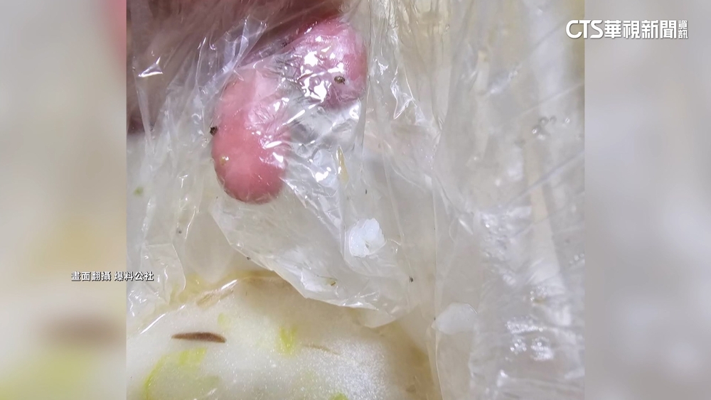 噁！　吃虱目魚粥「漂滿蟲」　業者歉：是菜蟲.已連繫當事人