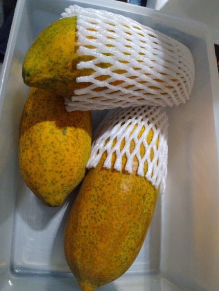 「日春木瓜牛奶」信義A8館現場未發現發霉木瓜。圖／北市衛生局提供