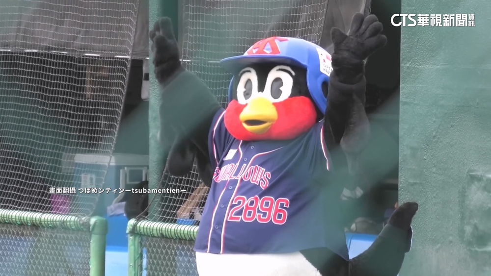 養樂多球團證實「燕九郎」操偶師離世　活動暫中止