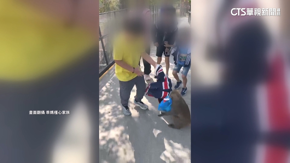 獼猴搶童飲料「衣扯到變形」 壽山動物園籲別與猴爭奪