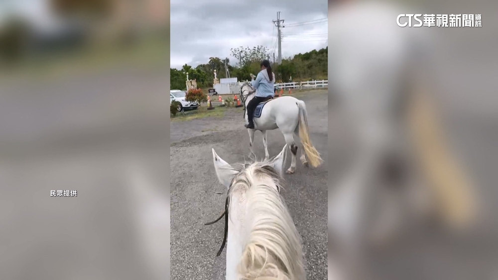 寵物友善餐廳馬兒光顧！　業者：最稀奇來店寵物
