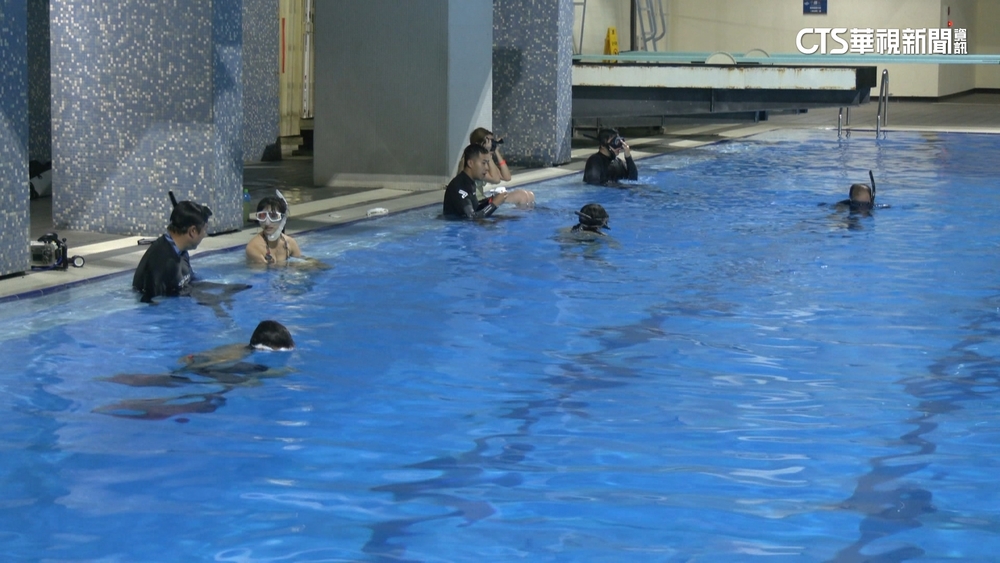 新北市民有福了！慶祝棒球進軍經典賽　體適能、游泳池免費5天