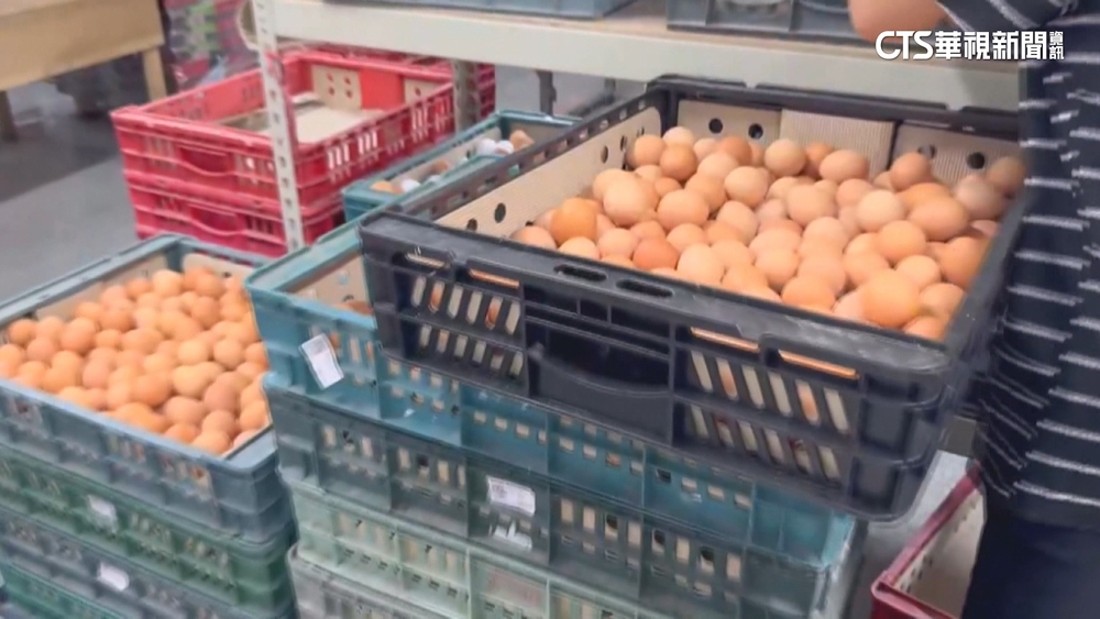 中南部雞隻生病蛋量減　批發價每台斤再漲2元