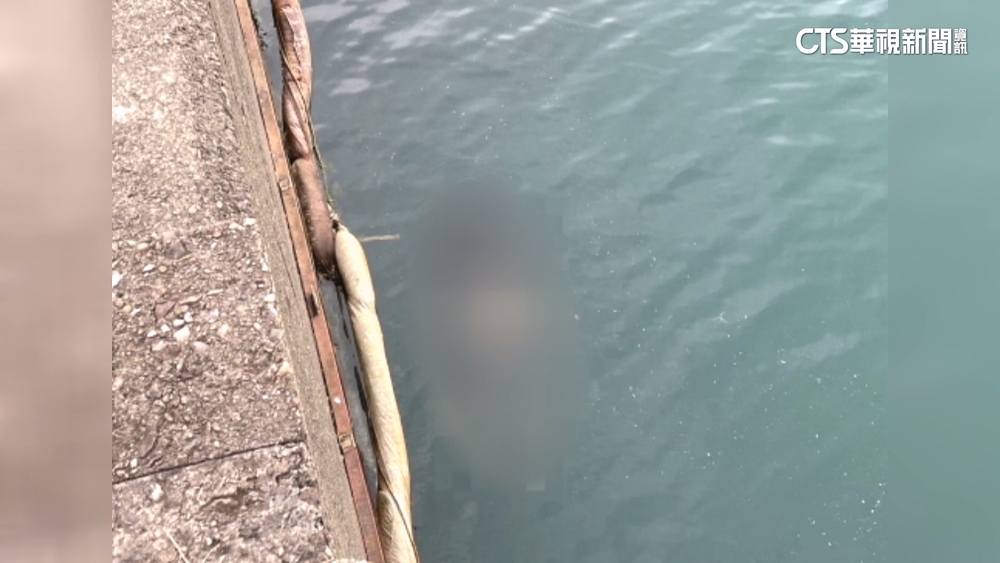 疑黑吃黑！男遭餵毒棄屍萬里核二廠出水口　5嫌遭起訴