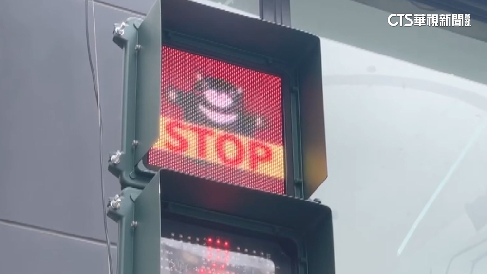 高雄熊.台鋼雄鷹現蹤行人號誌燈！　嘉義火雞號誌吸睛