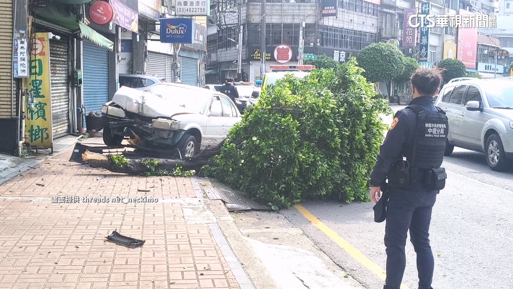 中壢車禍！駕駛突失控自撞樹　同路段「一週2意外」