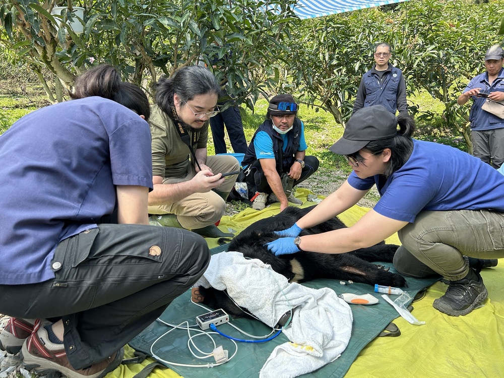 圖／農業部林業及自然保育署花蓮分署提供