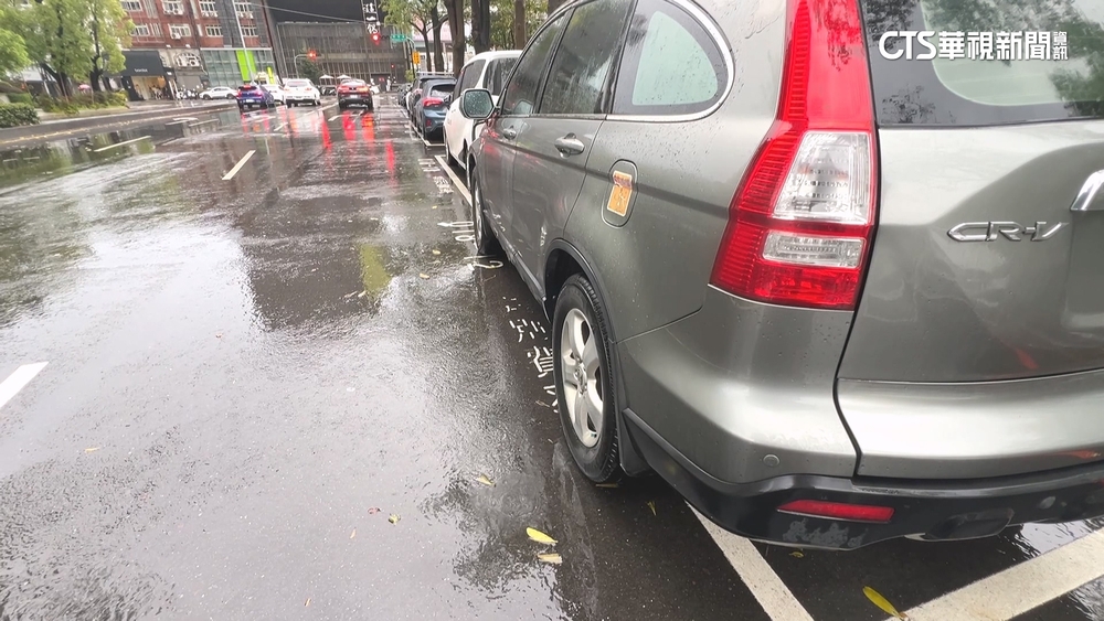 台中文心森林公園車格緊貼樹叢　駕駛：偏窄.乘客難下車