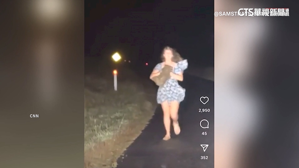 想紅不擇手段？美網紅遊澳洲　竟抱走袋熊寶寶