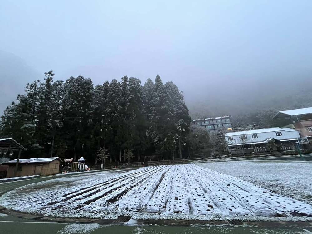 冷氣團發威！新竹尖石鄉下雪　新光國小、司馬庫斯分校停班課一天