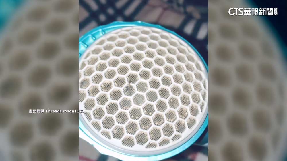 蚊子剋星+1！　網推「吹風機入風口吸蚊」百發百中？