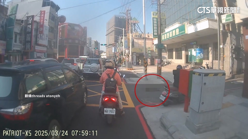 獼猴闖高雄市區觸電亡　左營大路402戶停電6秒