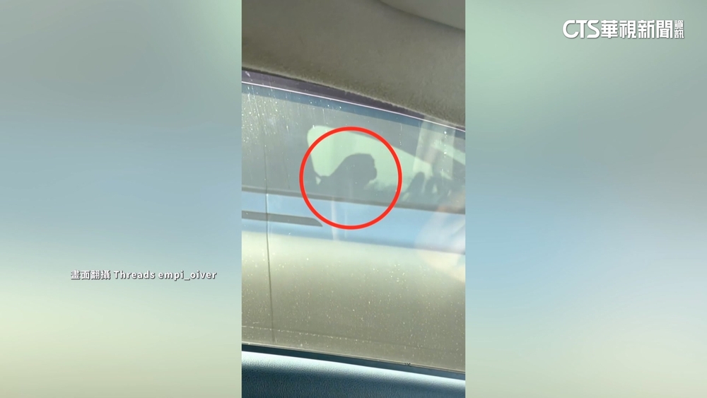 國道上打瞌睡！車主未握方向盤　警方：已構成危險駕駛