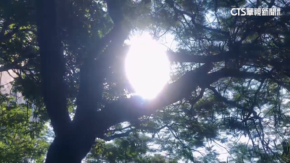 今再飆高溫「4縣市上看36度」　明起轉濕涼至清明連假