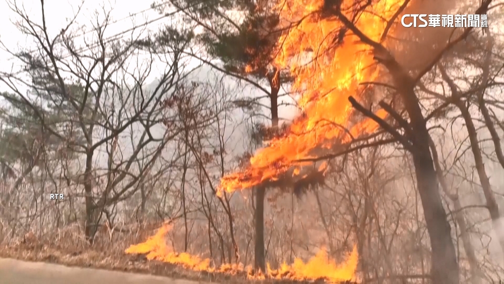 掃墓小心用火！　南韓野火調查　「掃墓燒樹枝」釀災