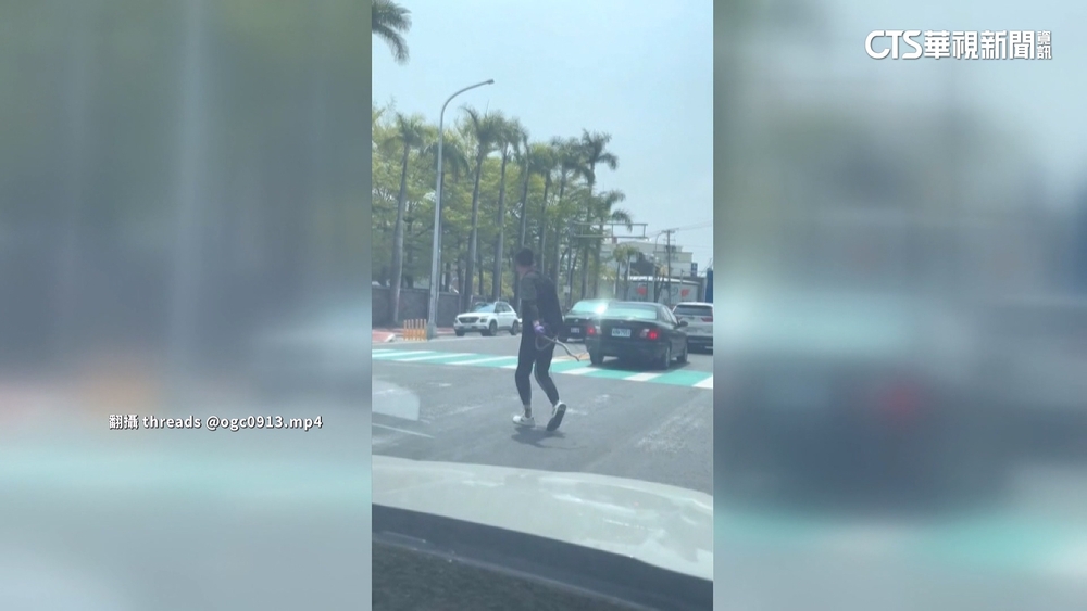 馬路「蛇行」釀塞車！　駕駛「徒手抓蛇」甩路邊