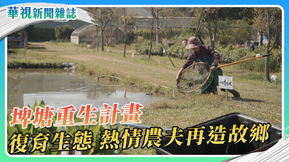 埤塘重生計畫 熱情農夫復育生態 再造故鄉｜華視新聞雜誌