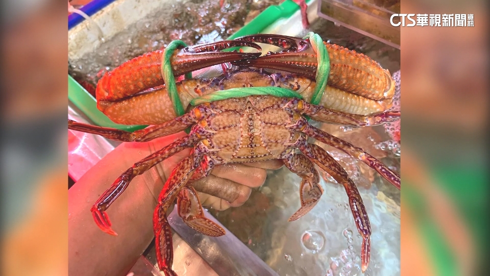 台中海鮮餐廳5花蟹6720元惹議　店家：有告知價錢