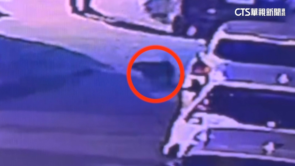 花蓮爆犬隻攻擊人！　衝向鄰居8歲童狠咬　送醫縫16針