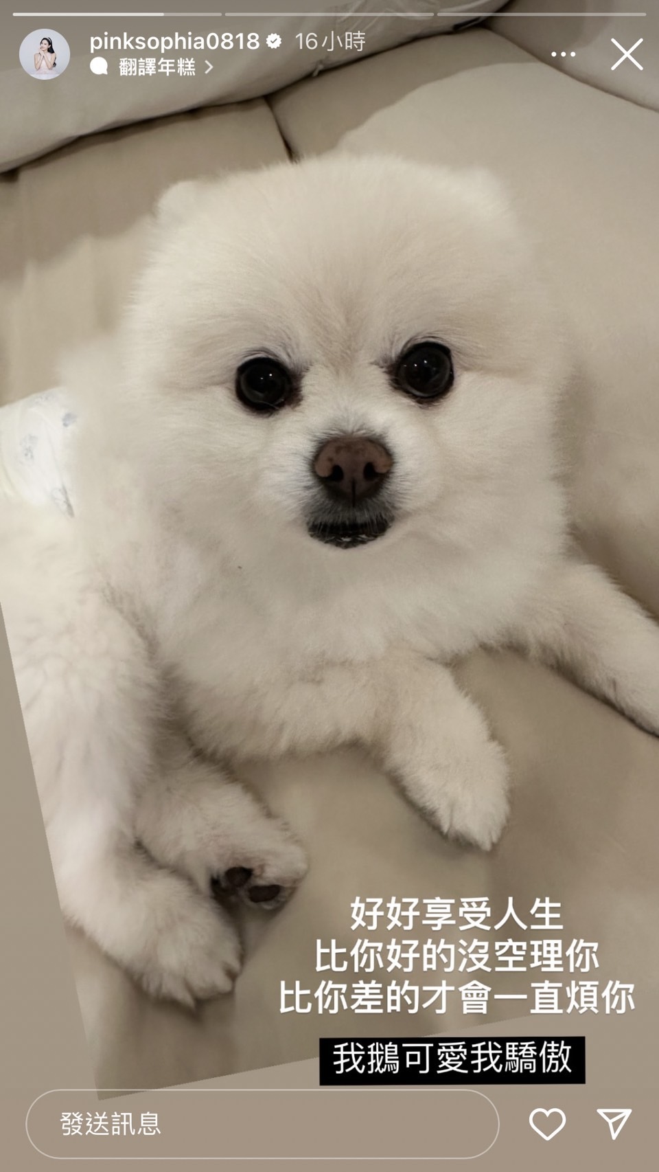 王思佳透過IG限動發表心情。圖／翻攝自IG@pinksophia0818