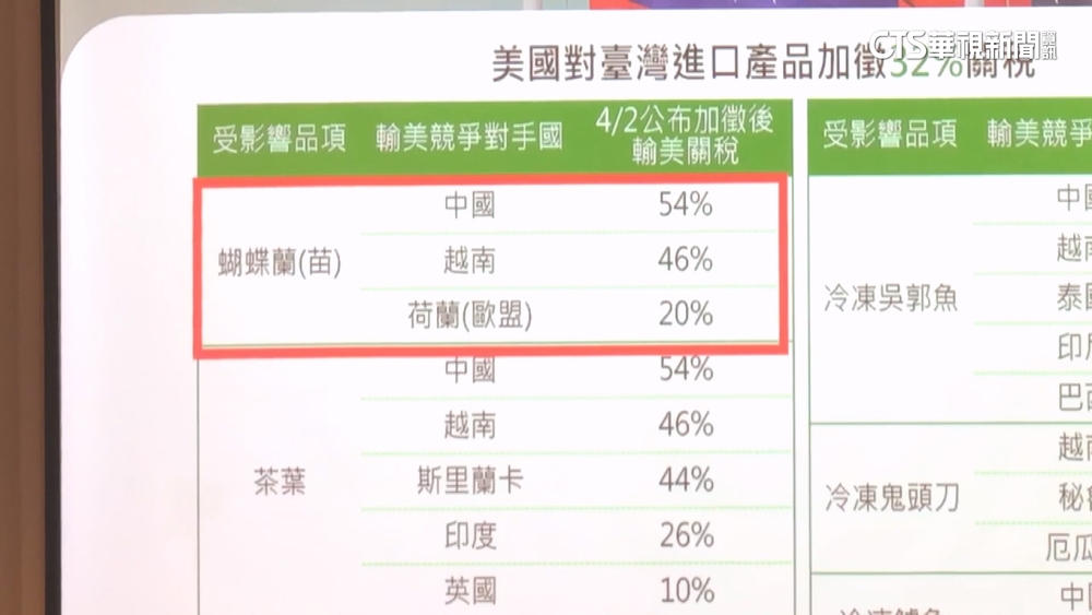 美關稅衝擊民生！　台灣蘭花業者憂心無法生存