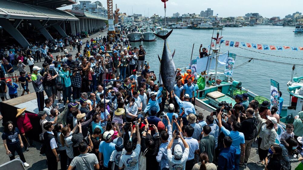 圖 / 屏東縣政府傳播暨國際事務處