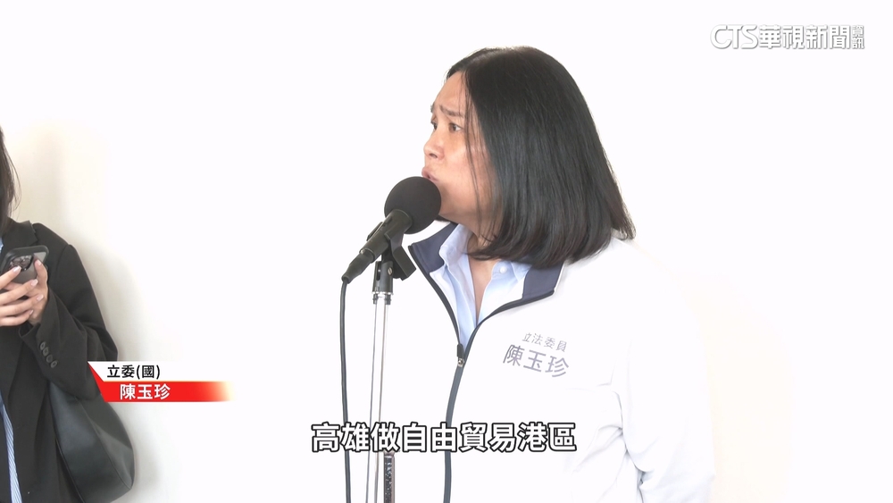 陳玉珍提「離島自貿區」　綠營轟：讓中國洗產地