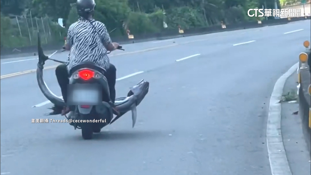 婦騎車載「比機車寬三倍」大魚上路！　警：最高罰600元