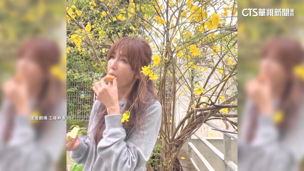 木村拓哉夫婦愛MIT鳳梨酥　酸.甜口味各有愛好者