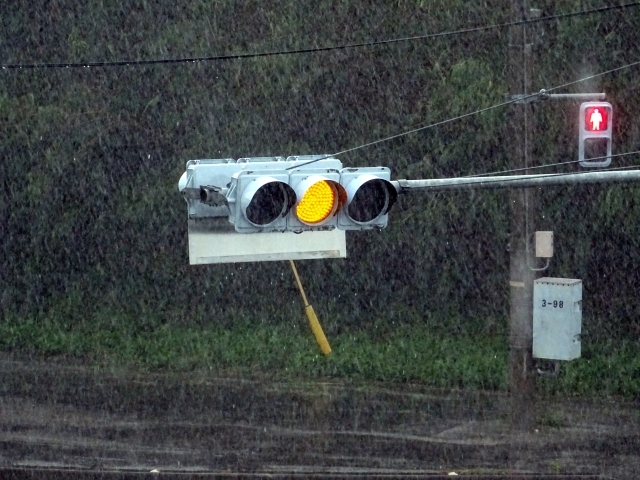 交通號誌「亮黃燈」到底該衝還是剎停？　警方親曝解答