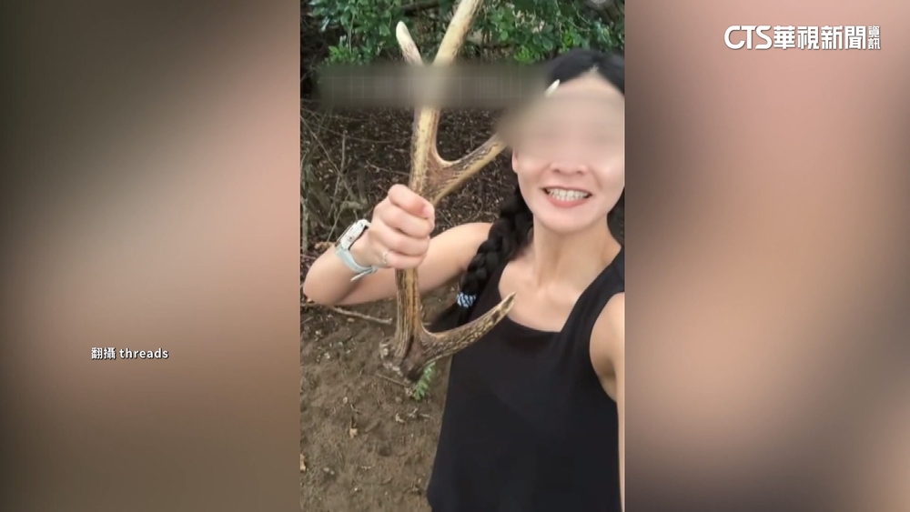 情侶撿梅花鹿角PO網挨轟　墾管處：將釐清撿拾地