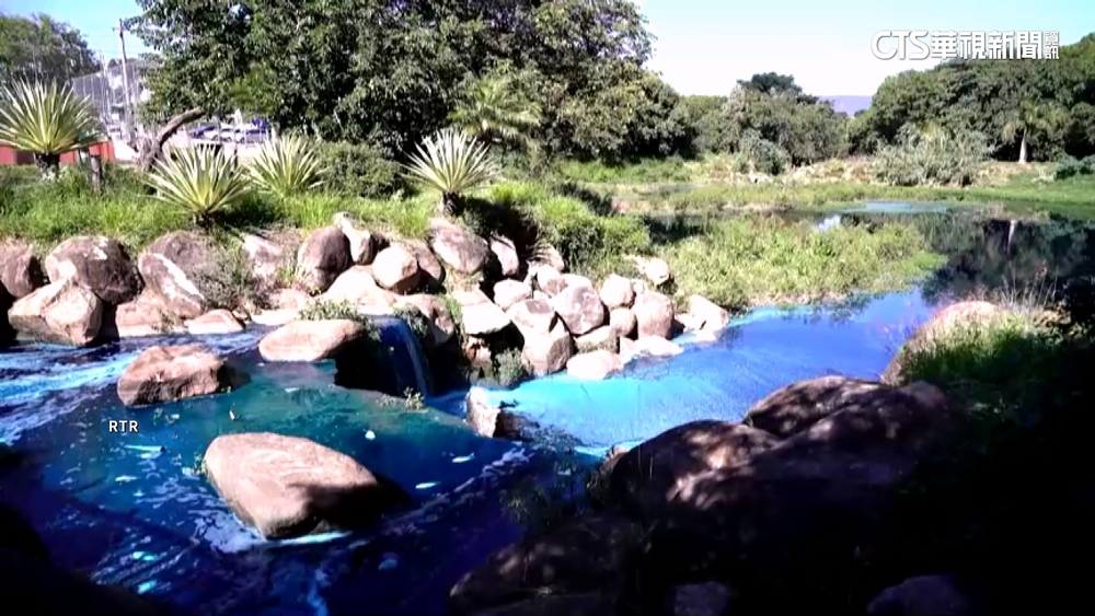 巴西染料外洩！　魚群暴斃.水豚變藍　恐波及下游