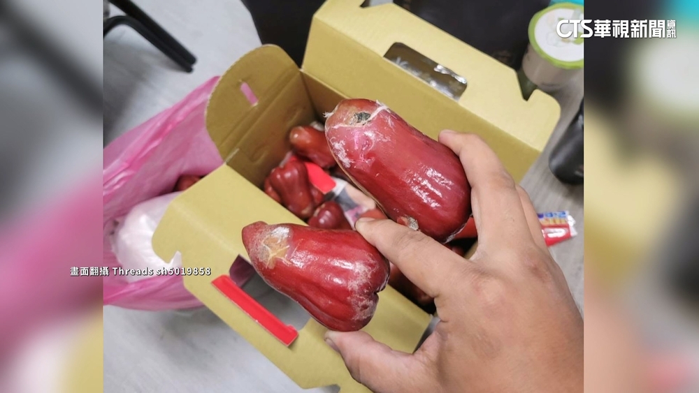 客控買蓮霧「半箱爛掉」　業者駁：現撿裝箱客人都能看