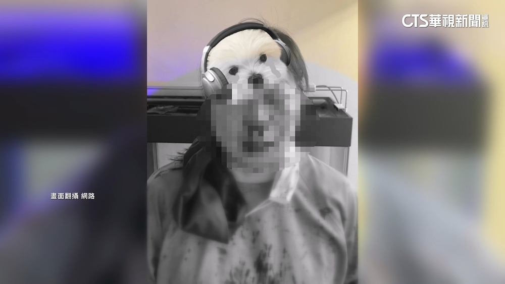 男看牙喊痛竟狂毆女牙醫　自行赴警所投案