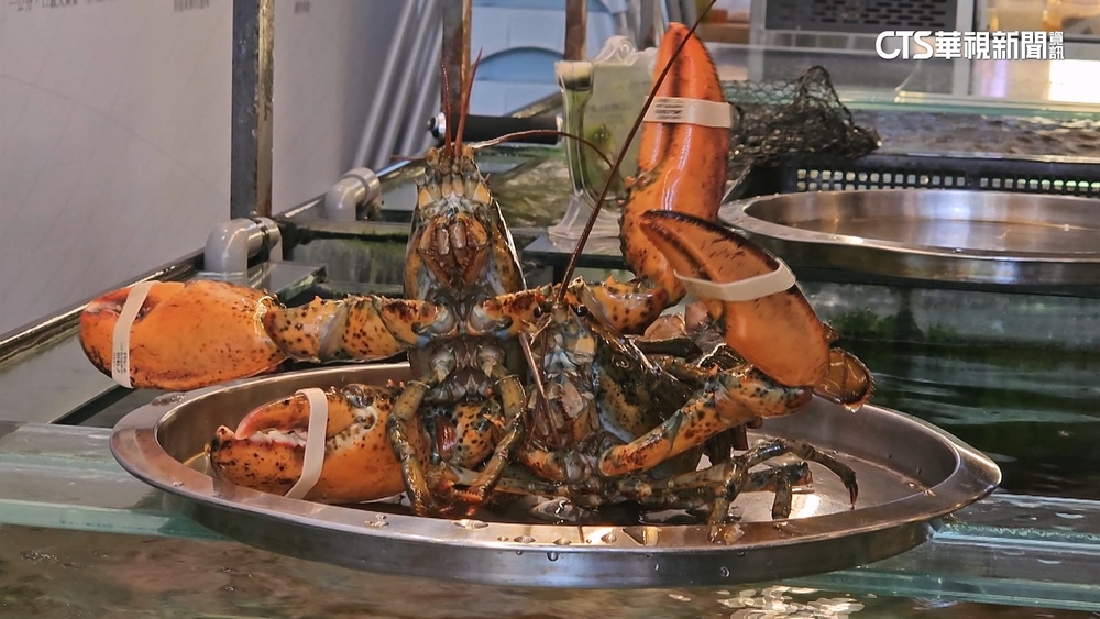 波士頓龍蝦價格降近5成！　一公斤1400元降至800元
