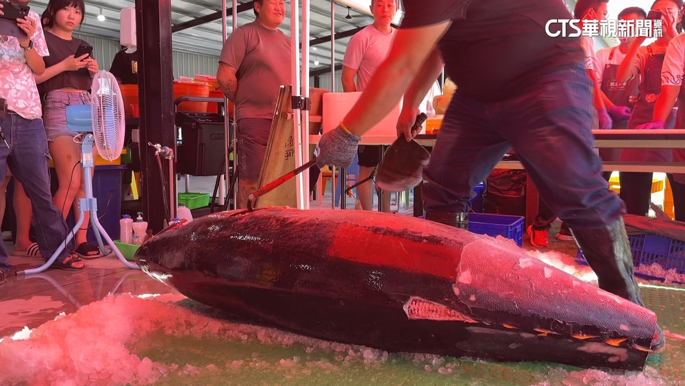 嘉義餐廳業者片200kg黑鮪魚肉　吸民眾圍觀