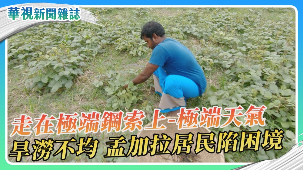 【走在極端鋼索上】氣候變遷 孟加拉居民深陷困境｜華視新聞雜誌