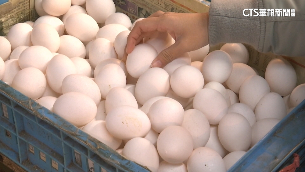 荷包瘦！　雞蛋今起漲3元　批發價每台斤35元
