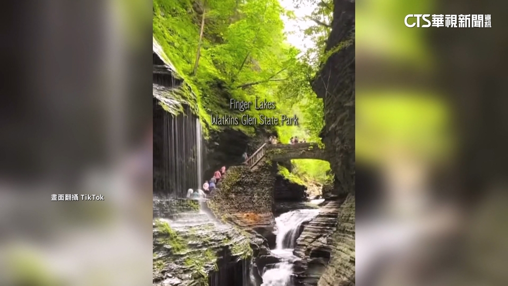 帥哥美女打頭陣！　TikTok掀新短片熱潮「Parktok」