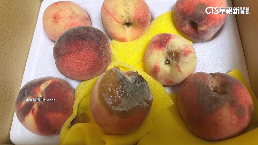 腐壞水蜜桃案外案！　業者道歉電話與販售者不同