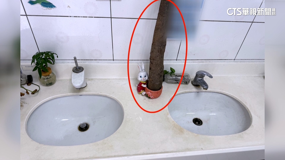 不滿吵鬧被罵！　2高一生尾隨進廁毆老師　打到棍棒斷