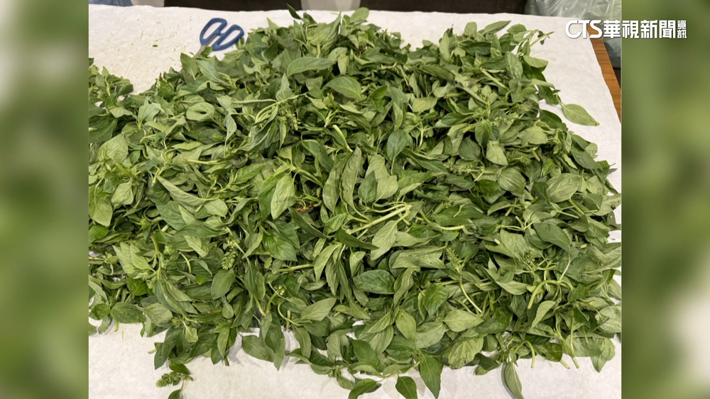 「祥和蔬食」　「非常泰」九層塔農藥超標　遭要求下架